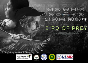 "Bird of Prey" to circle UPLB