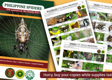Order these new publications from the MNH