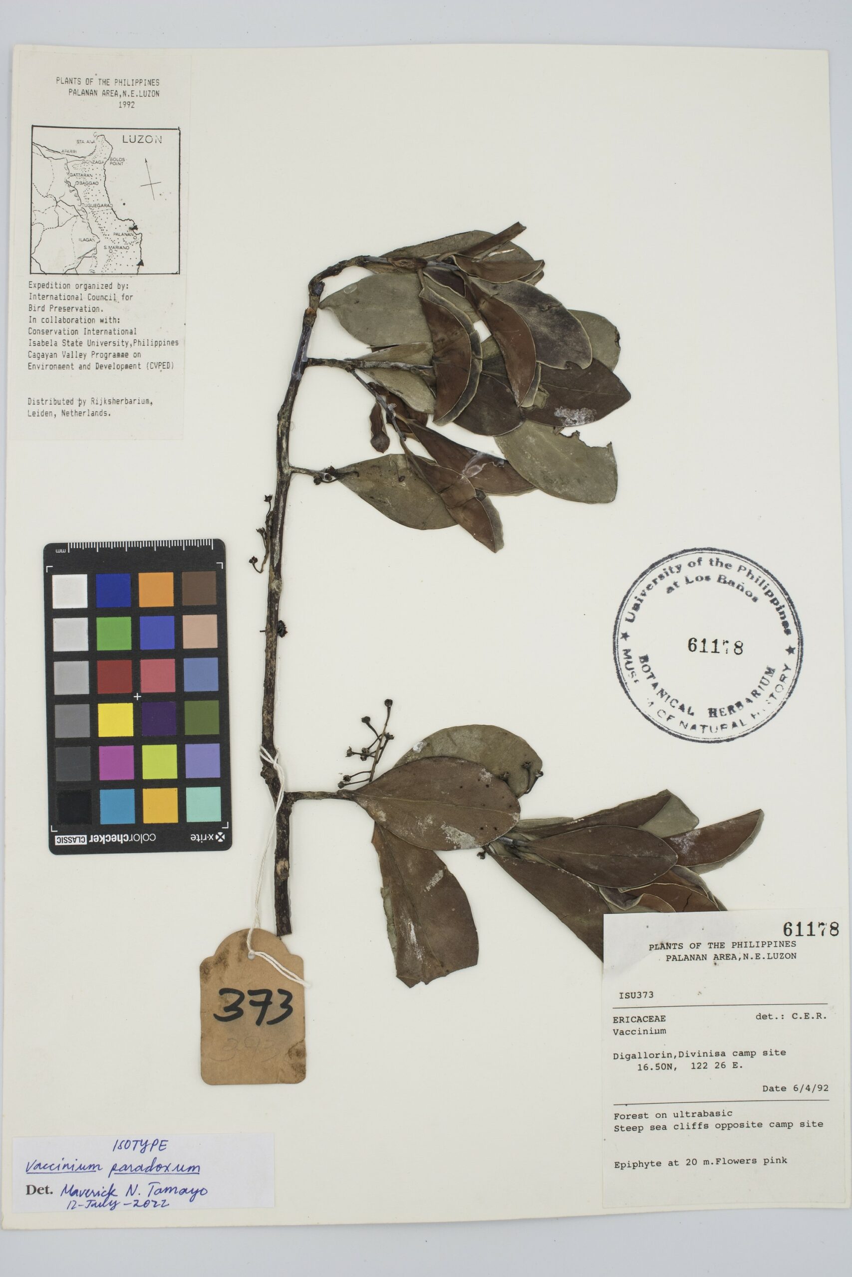 MNH-botanical herbarium-09
