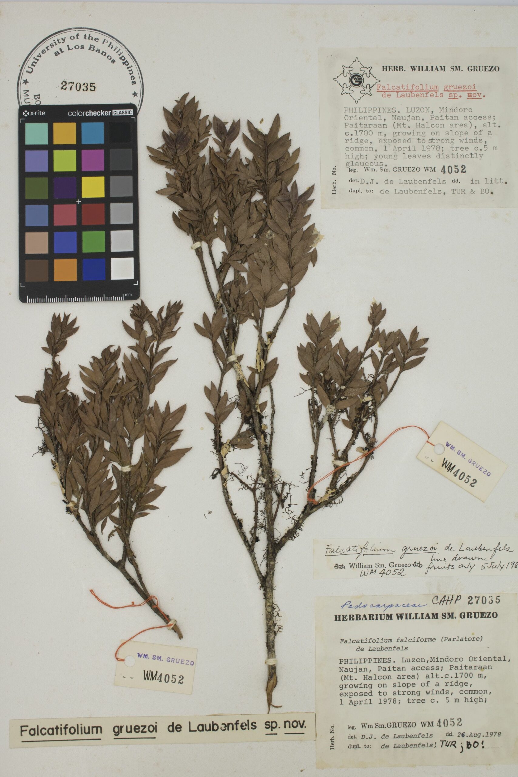 MNH-botanical herbarium-11