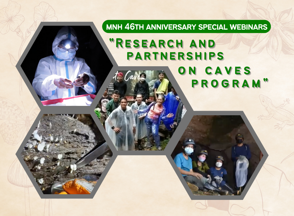 1st INTERNATIONAL WEBINAR ON KARST AND CAVES 