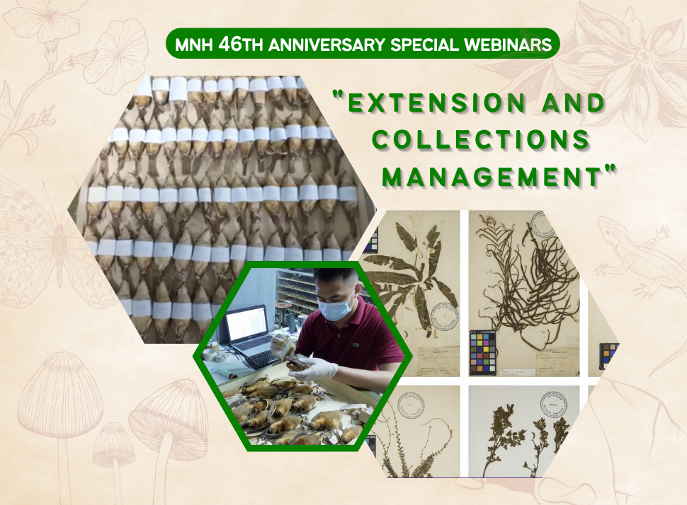 Digitization and collections management wrap up Museum’s special anniversary webinars