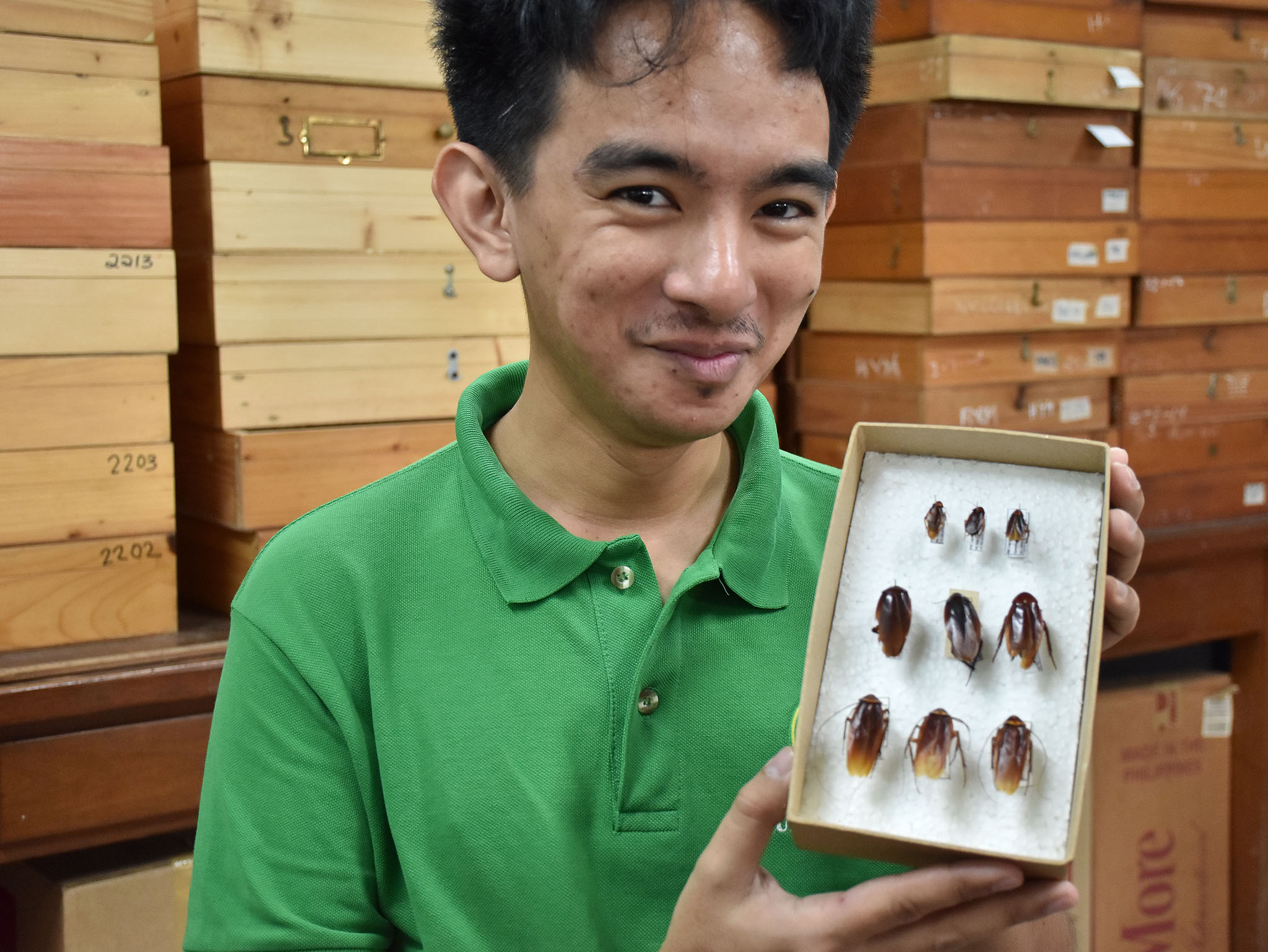 Cristian Lucañas and his two new LOTR-inspired cockroach genera