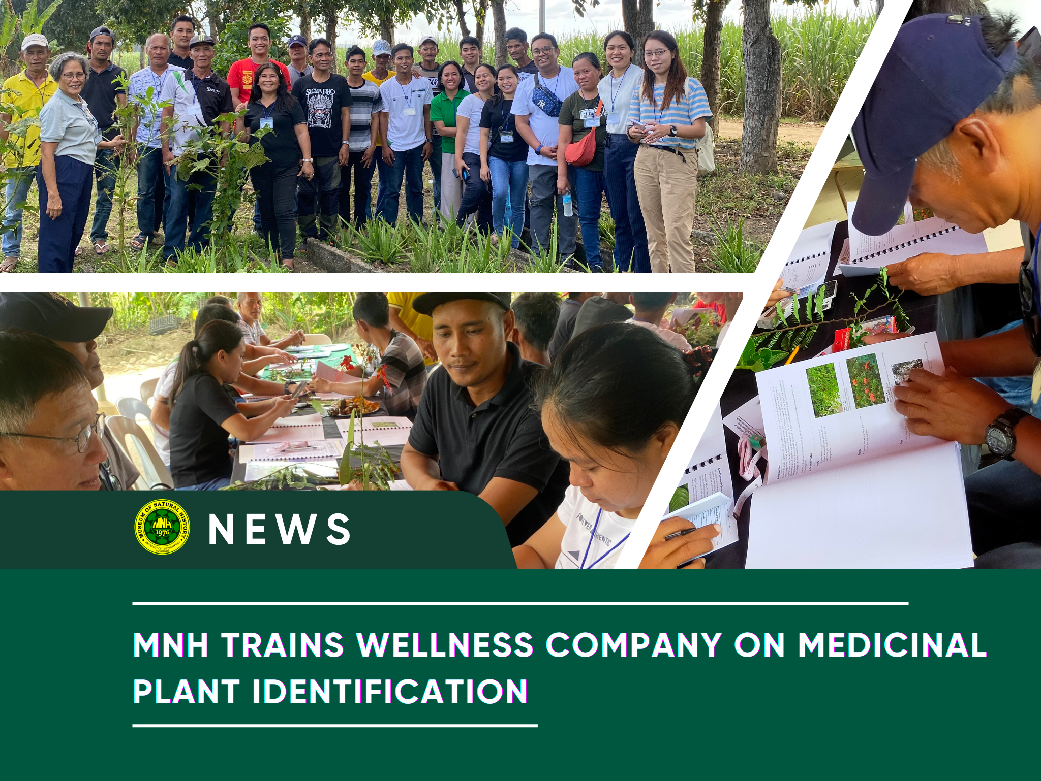 MNH trains wellness company on medicinal plant identification