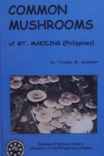 common-mushrooms